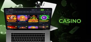 jeetcity casino india